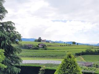 Vista