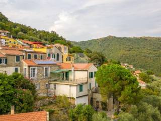 Vista