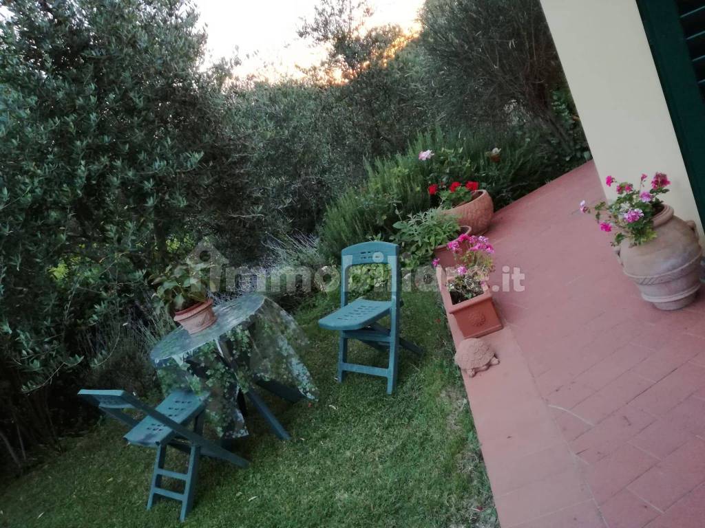 Giardino