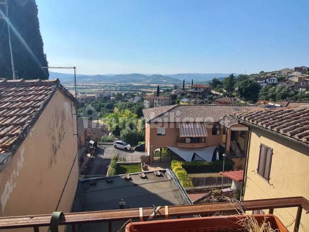 Vista