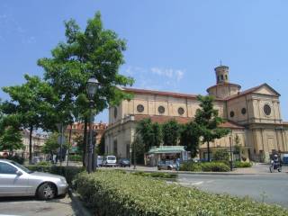 Zona