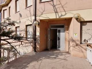 Ingresso