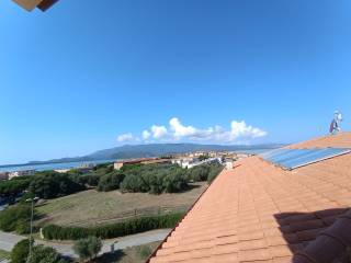 Vista