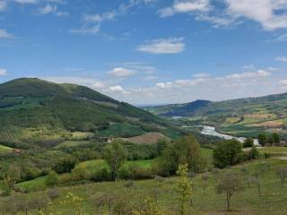 Vista