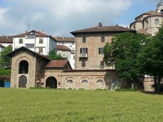 Zona