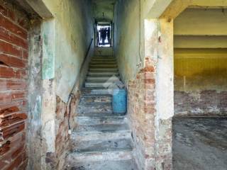 Scala