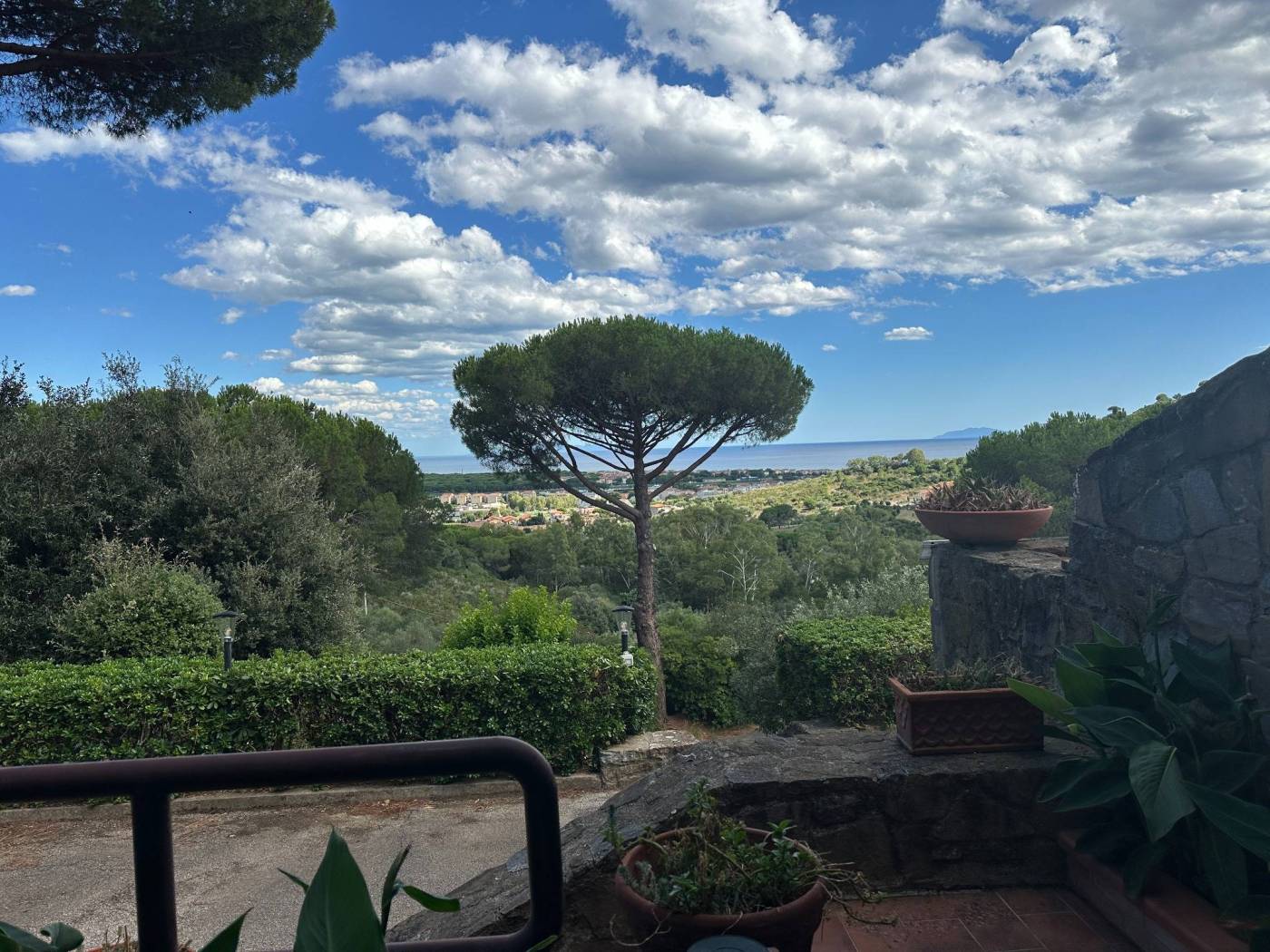 Vista