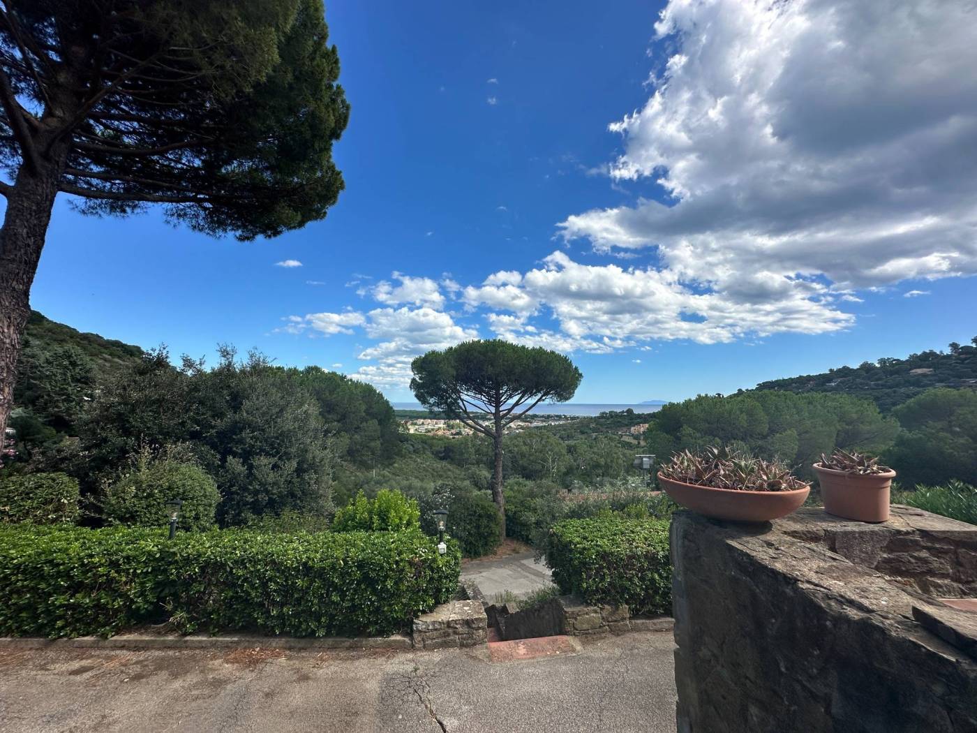 Giardino