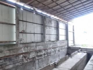 Zona