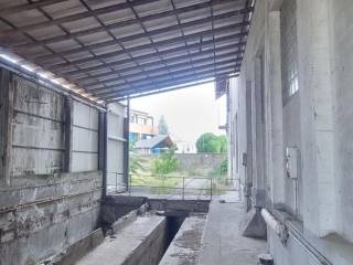 Zona