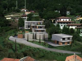 Vista