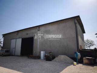 Zona