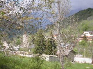 Vista