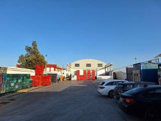 Zona