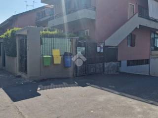 Zona