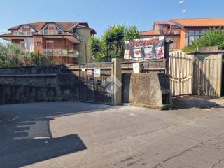 Zona
