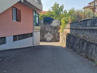 Zona