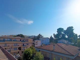 Vista