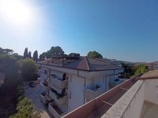 Vista