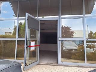 Ingresso