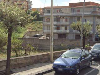 Zona