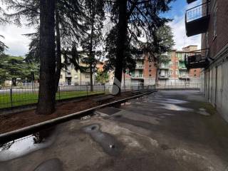 Zona