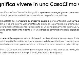 Altro