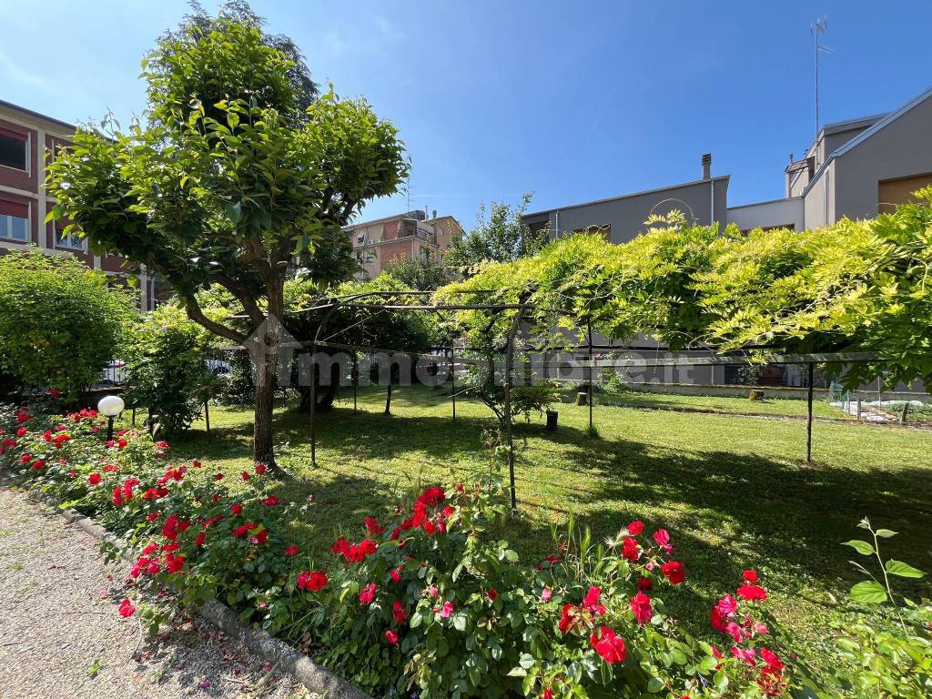 Giardino