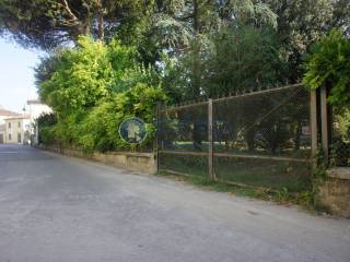 Zona