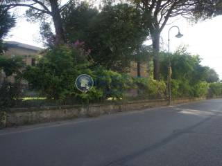 Zona