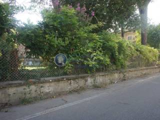 Zona