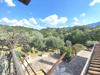 Vista