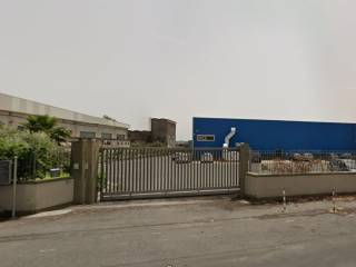 Zona