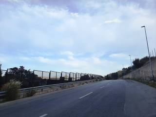Zona