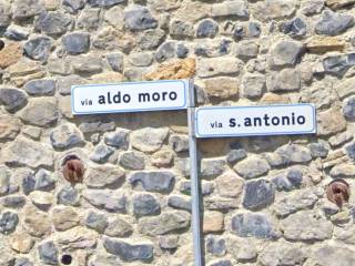 Zona