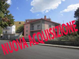 Zona