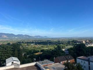 Vista