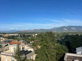 Vista