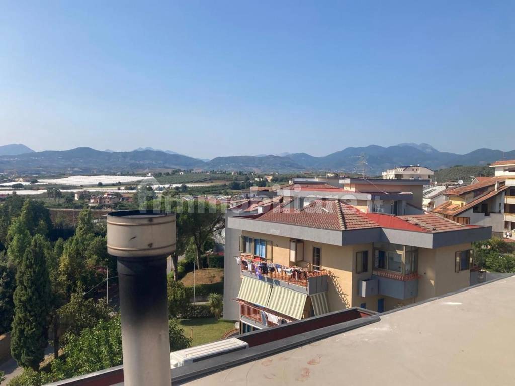 Vista