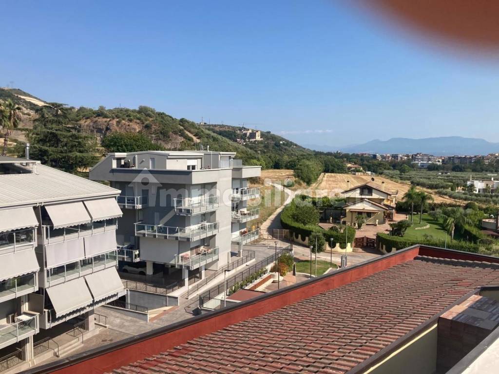 Vista
