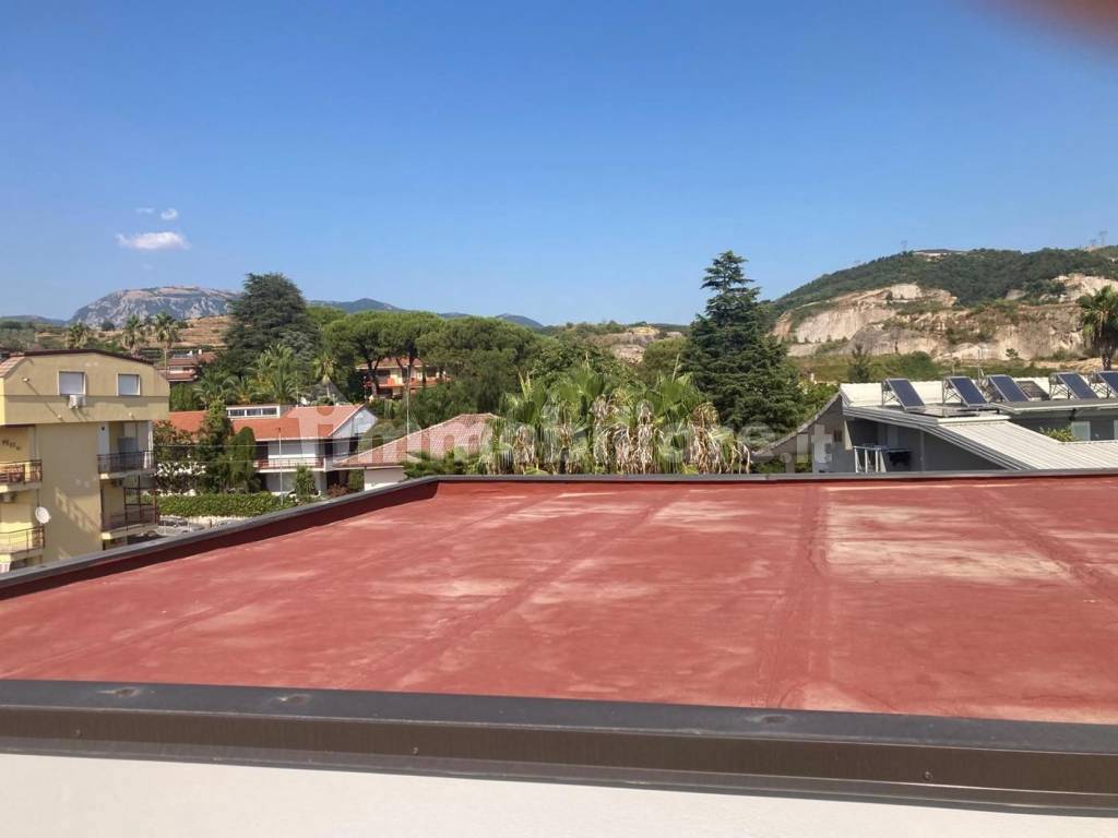 Vista