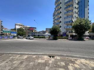 Zona