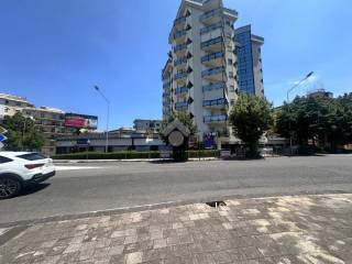 Zona