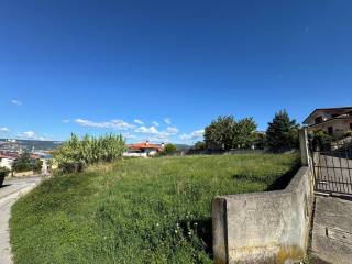 Zona