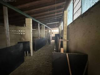 Magazzino