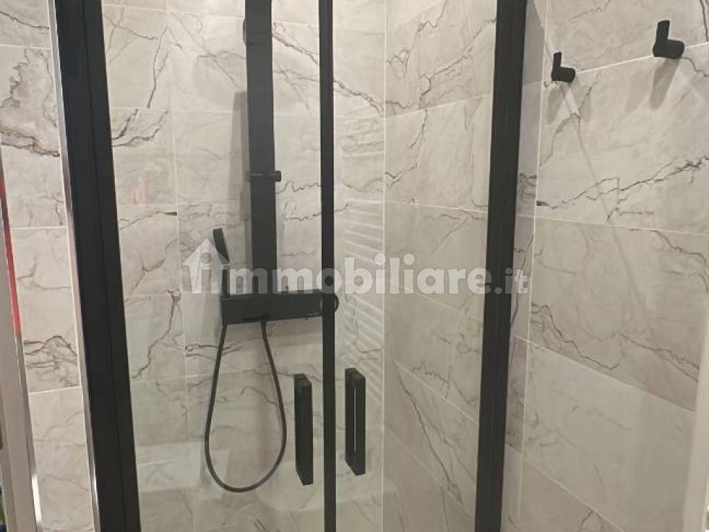 Stanze doppie e singole in San Salvario, foto 6 di 14