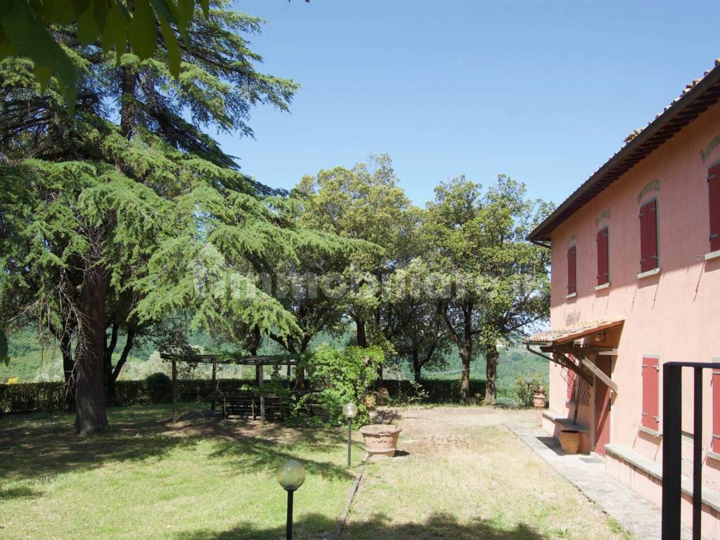 Giardino