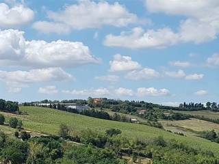 Vista