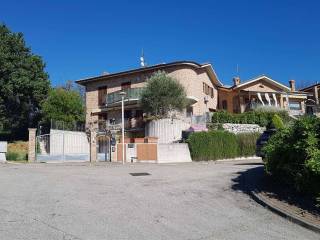 Zona