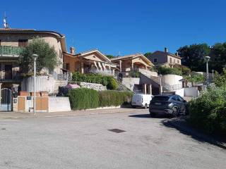 Zona